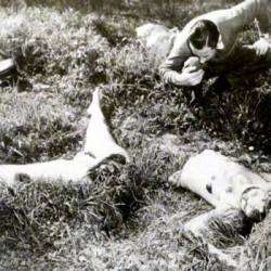 Sawed Off Son of a Bitch